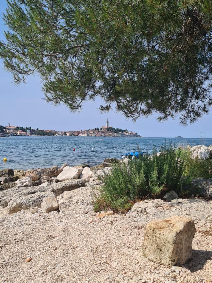 Hemy Casa - Lux Mobile Homes Rovinj Eksteriør billede