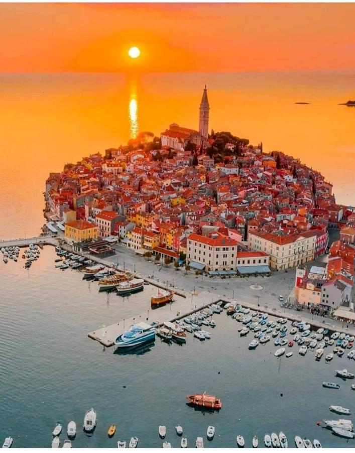 Hemy Casa - Lux Mobile Homes Rovinj Eksteriør billede